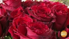 В поисках идеального букета. Доброе утро. Фрагмент 