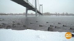 Все реки текут… куда? Доброе утро. Суббота. Фрагмент