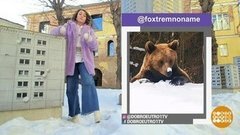 Медведь и лыжники. Доброе утро. Суббота. Фрагмент