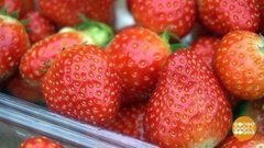 Сезон клубники открыт! Доброе утро. Фрагмент 
