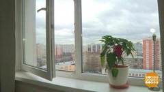 Закройте окна! Доброе утро. Суббота. Фрагмент