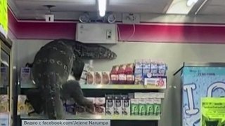 В Таиланде посетителей супермаркета распугал гигантский варан