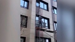 Ради кота в Краснодарском крае развернули спасательную операцию