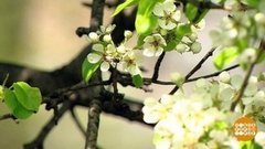 Аллергия наступает. Что делать? Доброе утро. Суббота. Фрагмент