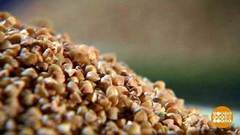 Великий гречневый путь. Доброе утро. Фрагмент 