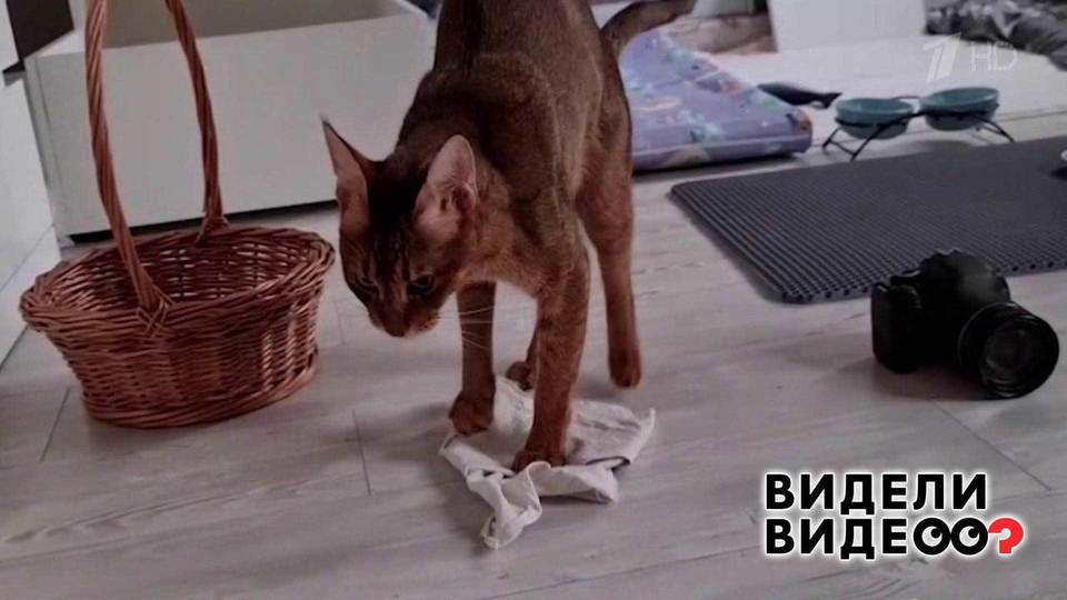 Борец за чистоту. Видели видео? Фрагмент.