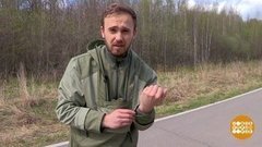 Операция «Антиклещ»: главное, чтобы костюмчик сидел. Доброе утро. Фрагмент