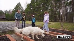 На дачу! Анонс