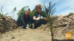 Подрастай, "Удивительный лес"! Доброе утро. Фрагмент