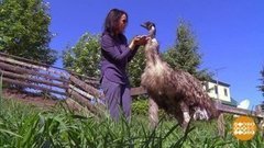 Отпуск: кто куда, а я в деревню! Доброе утро. Фрагмент 