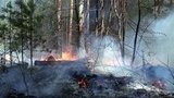 В Якутии и Тюменской области из-за жаркой сухой погоды бушуют природные пожары