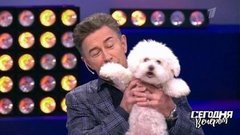 Звездные питомцы. Сегодня вечером. Анонс