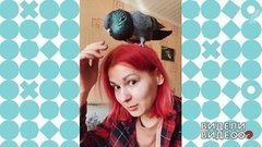 Спасенный голубь. Видели видео? Фрагмент