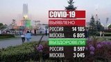 В России за сутки выявили 14 185 новых случаев коронавируса