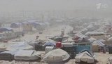 Журналисты сообщили об ужасной ситуации в лагере беженцев Эль-Холь в Сирии