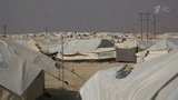 В МИД России прокомментировали сообщения о лагере беженцев Эль-Холь на северо-востоке Сирии