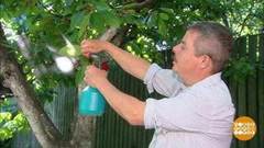 Тля не пройдет! Доброе утро. Фрагмент 