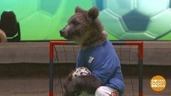 "Драконы", "Динамит" и Добрыня. Доброе утро. Фрагмент 