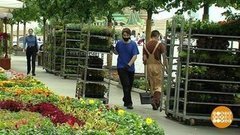 ГУМ в цветах. Доброе утро. Фрагмент 