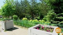 Не двор, а цветник! Доброе утро. Фрагмент