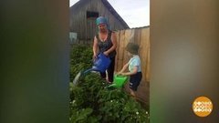 Спасибо, бабушки! Доброе утро. Суббота. Фрагмент