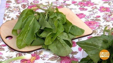 Щавель, руккола или шпинат? Доброе утро. Фрагмент