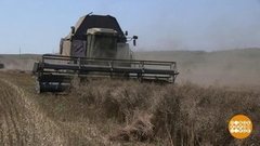 Хлеба хватит на всех. Доброе утро. Фрагмент