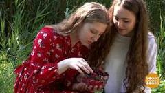 Семь трав на Ивана Купалу. Доброе утро. Фрагмент