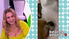 Несекретные материалы Ксении Новиковой. Видели видео? Фрагмент