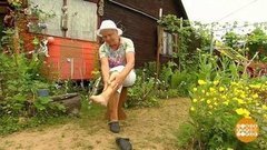 Лето. Жара. Отеки. Доброе утро. Фрагмент