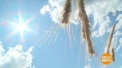 Что творится с погодой?! Доброе утро. Фрагмент