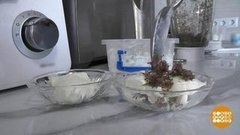 Мороженое — не простое, а цветочное! Доброе утро. Фрагмент