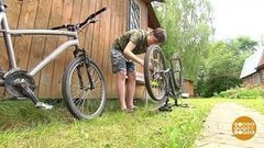 Пол-лета впереди: успеть все! Доброе утро. Фрагмент