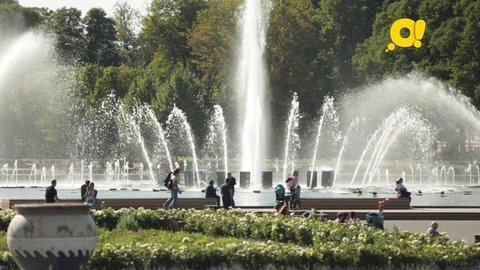 Как устроен парк. Как устроен город