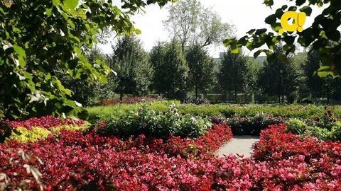 Деревья и цветы в парке. Как устроен город