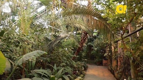 Аптекарский огород. Как устроен город