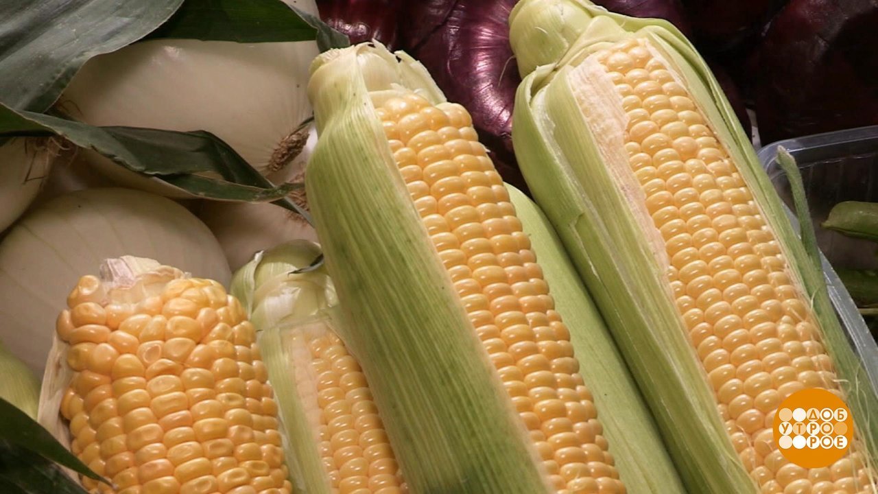 Как варить кукурузу в початках в кастрюле