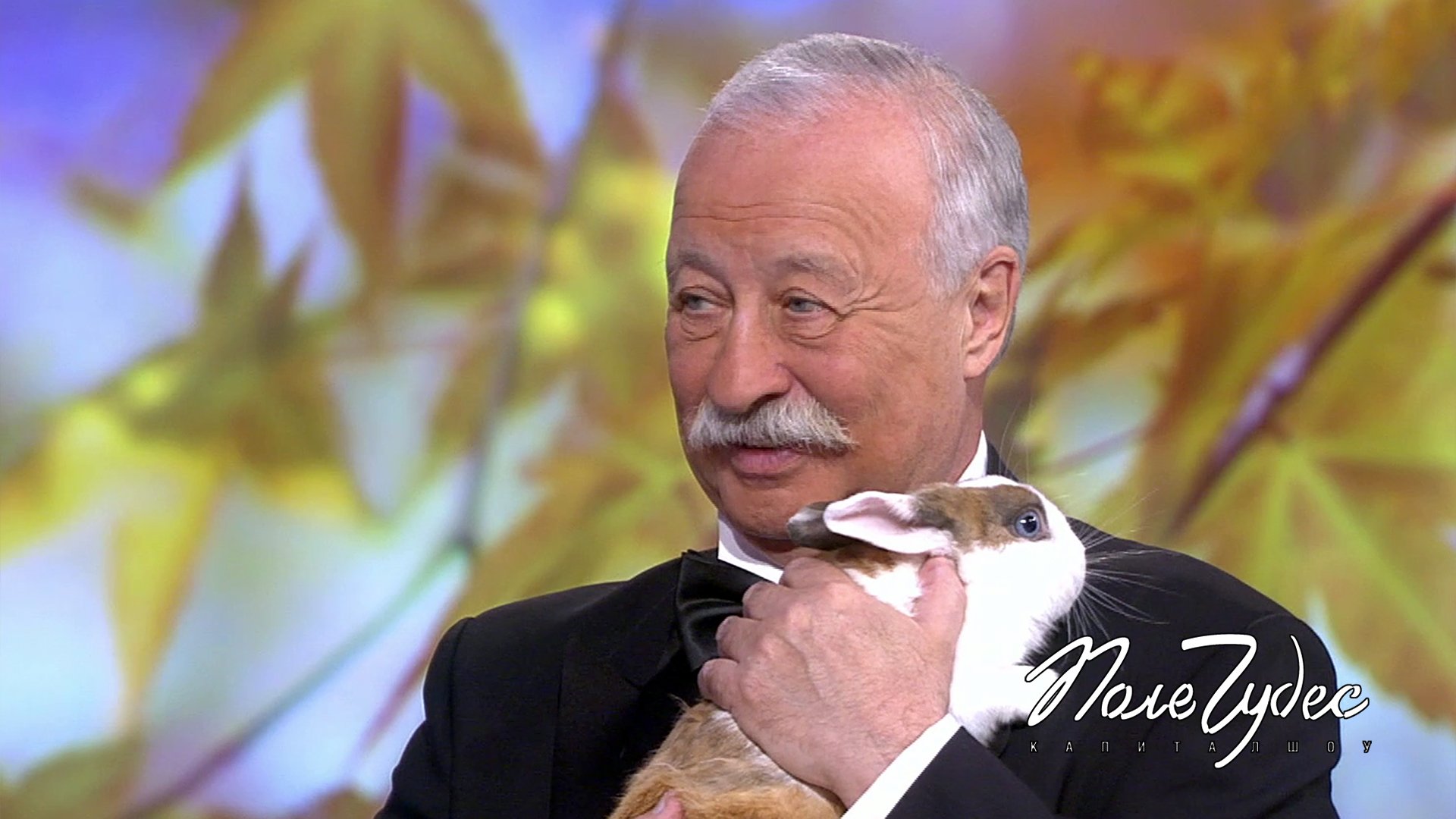 Поле чудес первый канал. Поле чудес выпуски 2023. Поле чудес новогодний выпуск. Якубович поле чудес. 01.