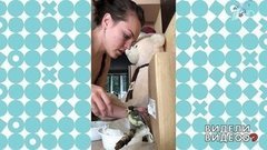 Спасти синицу! Видели видео? Фрагмент 