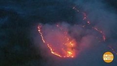 Спасем лес! Доброе утро. Фрагмент