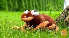 Осторожно, клещи! Доброе утро. Фрагмент