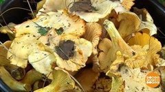 Тихая охота: кто ищет, тот найдет! Доброе утро. Фрагмент