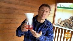 Дмитрий Талабуев и его ловушки. Доброе утро. Фрагмент