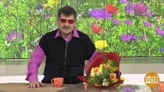 Владимир Вишневский. Не только одностишия! Доброе утро. Фрагмент