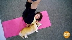 Собачья йога. Доброе утро. Фрагмент
