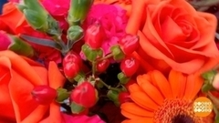 Идеальный букет для учителя. Доброе утро. Фрагмент