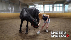 Конь трудной судьбы. Видели видео? Фрагмент 
