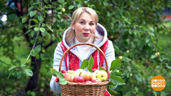 Осенний уход за плодовыми деревьями, клубникой, цветами и газоном. Доброе утро. Суббота. Фрагмент 