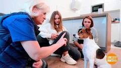 Как утихомирить собаку. Доброе утро. Фрагмент выпуска 