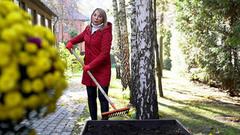 Утепляем грядки на зиму. Доброе утро. Суббота. Фрагмент